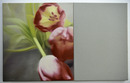 Oft kombiniert Vogt bei seinen Stillleben unterschiedliche Materialien:  Darstellungen von Blumen werden mit gefärbten oder bedruckten Stoffen, wie Filz oder Tapete kombiniert.