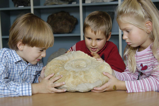Kinder „begreifen“ Fossilien und können in der Fossilienwerkstatt selbst Abdrücke herstellen (Foto: Geologisches Museum München)