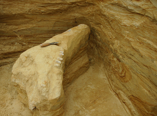 Ein Knochensplitter machte den LMU-Paläontologen PD Dr. Christoph Mayr auf den Fund aufmerksam: Hier ist der Schädel des Urzeitelefanten in Fundlage zu sehen. (Foto: Staatsammlung für Paläontologie / Winfried Werner)