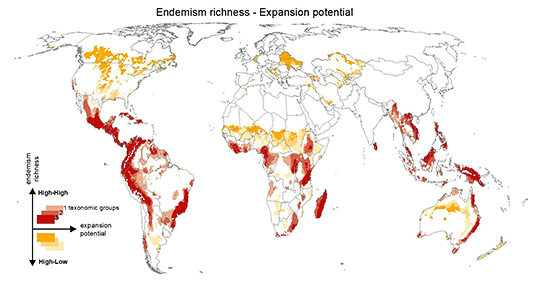 Impacto da expansão de terras cultiváveis sobre a biodiversidade é muitas vezes maior do que a intensificação do uso